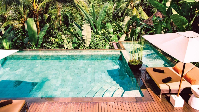 Jungle de piscine