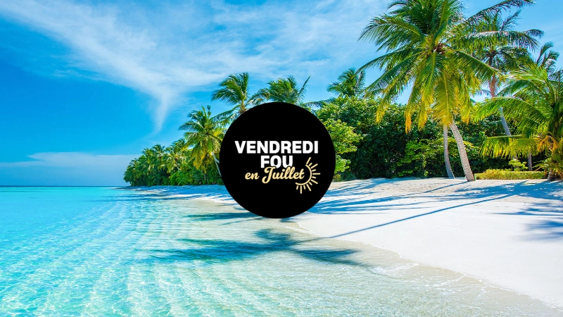 Côte de palmiers tropicale Vendredi fou en juillet