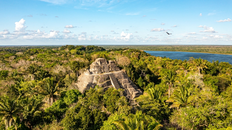 Ruines du Belize
