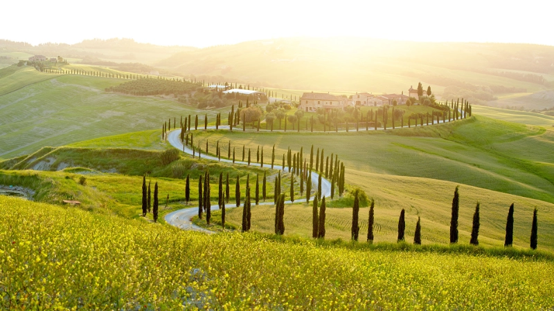 Sunny Fields, Toscane