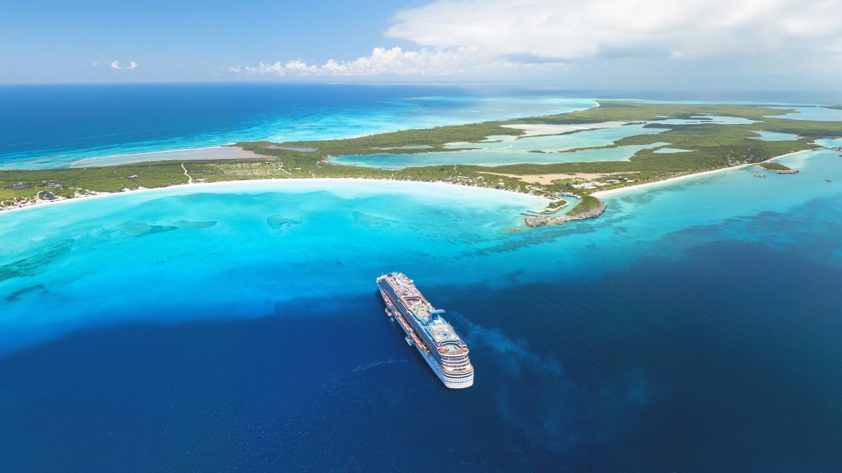 Cruise
