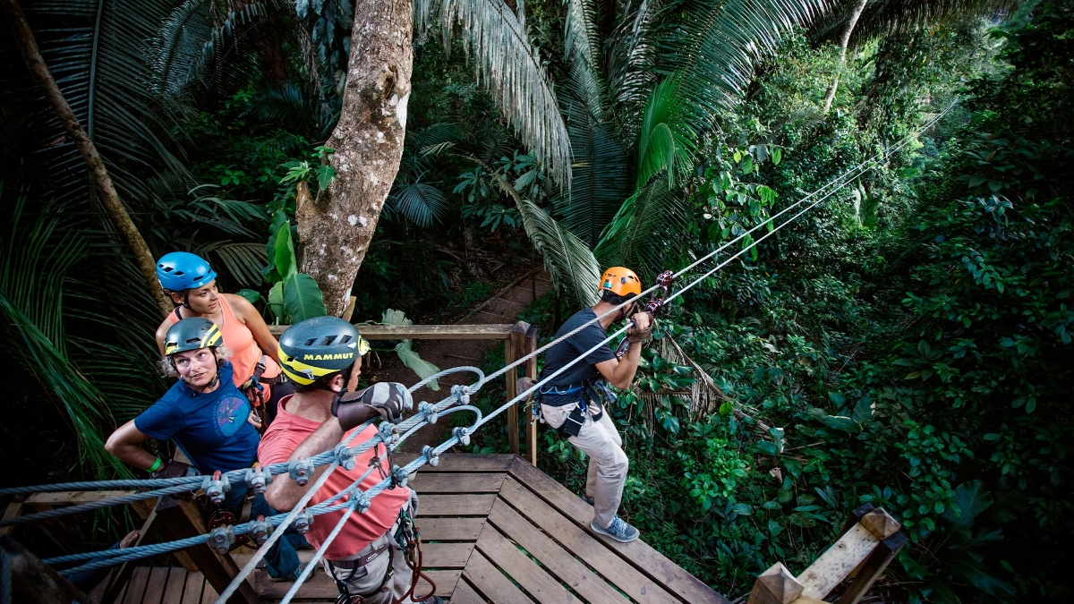 Belize : entre jungle et mer à Placencia 