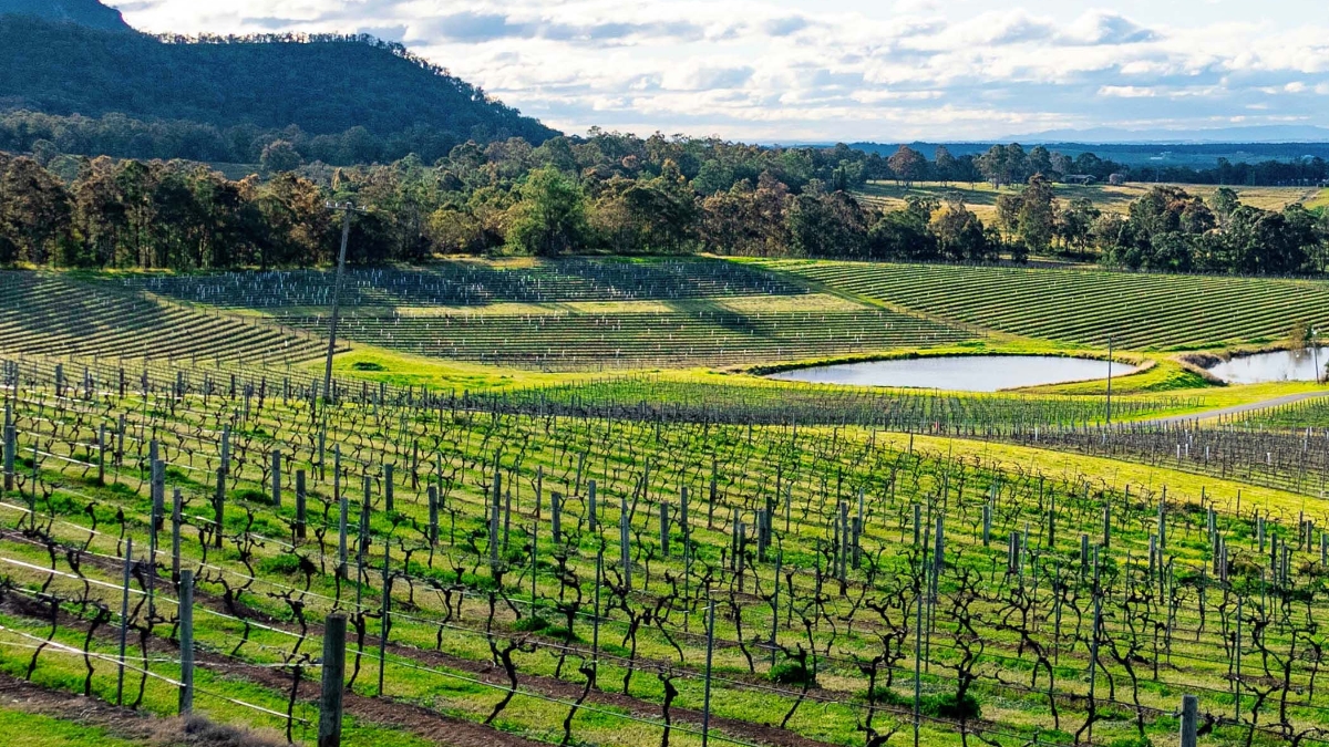 Montagnes, plages et vins