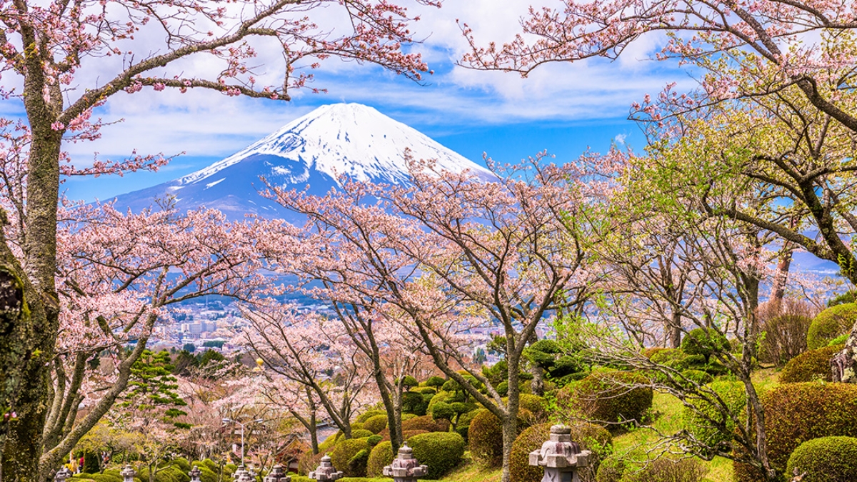 Enchantments of Japan - French Guided