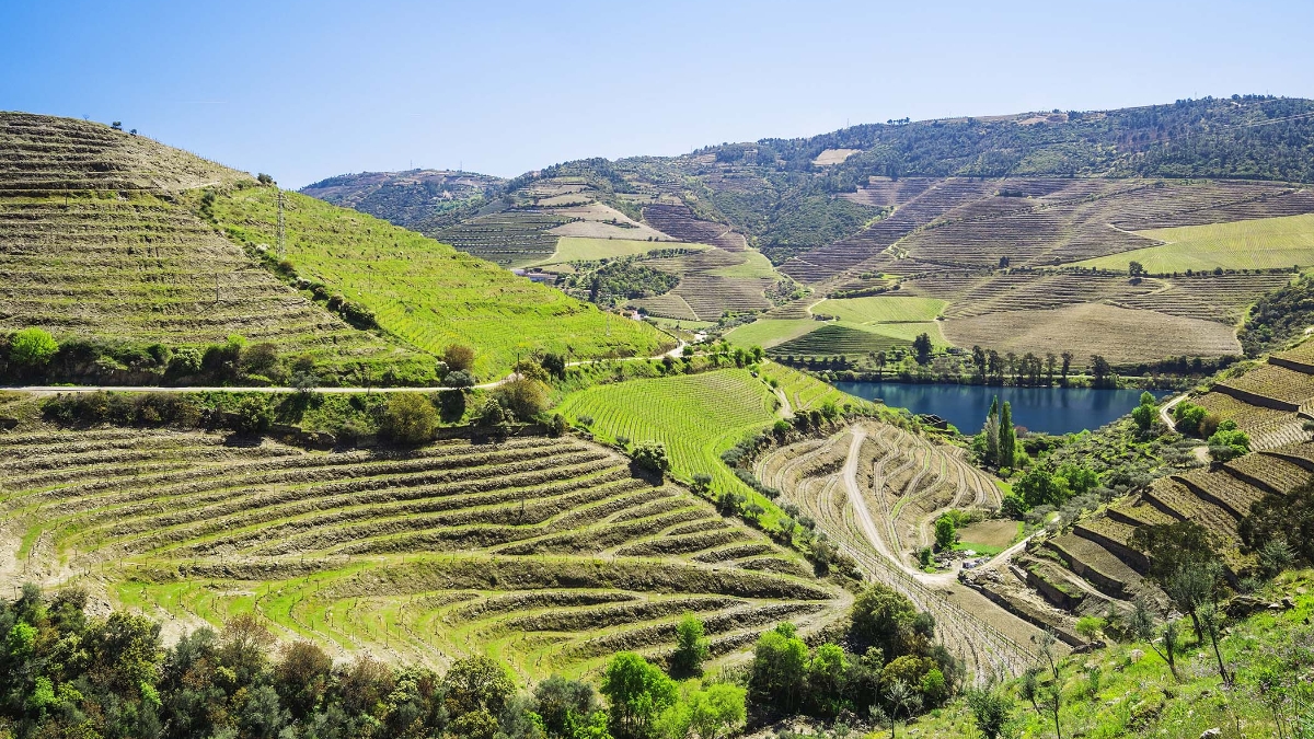  Voyage dans la vallée du Douro