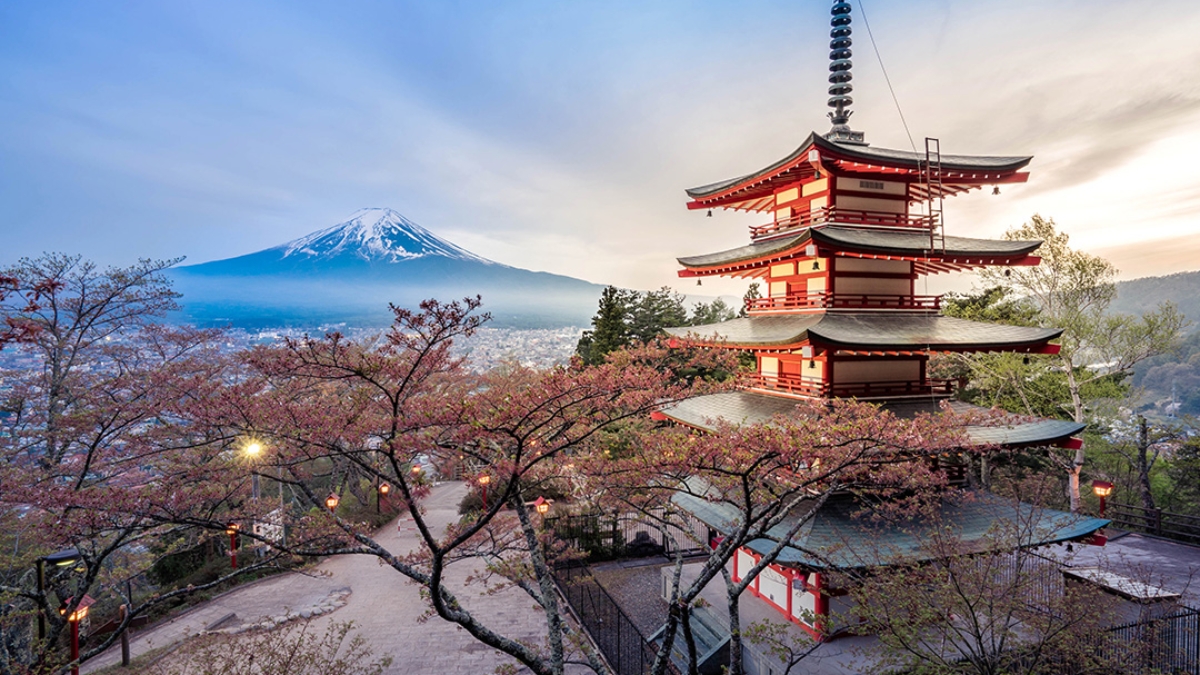 Cultural Gems of Japan- French Guided