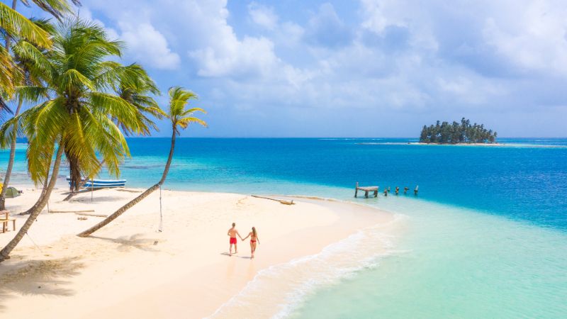 SUN Couple handholding wide beach palm trees