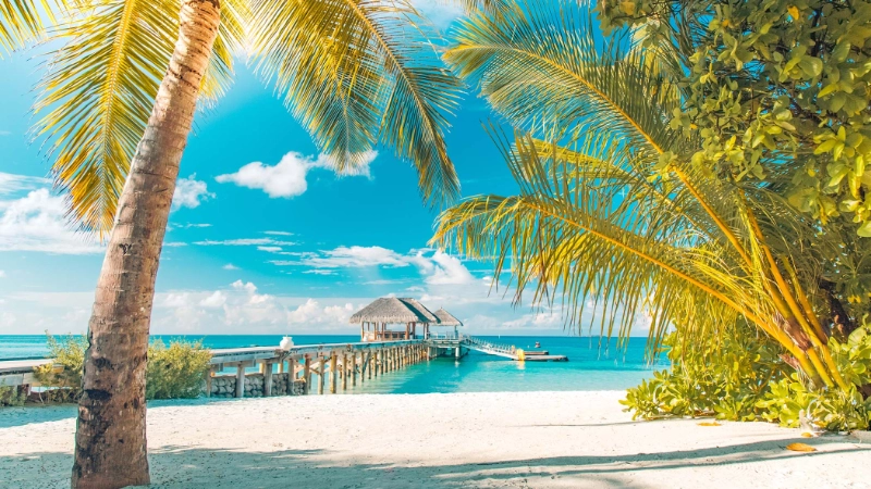 All Booking Options | Book A Vacation