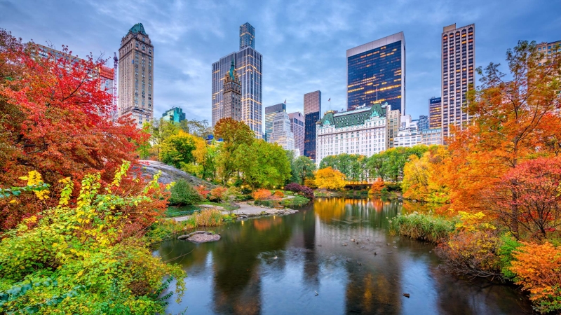 Central Park New York