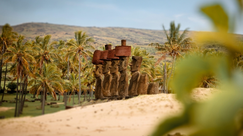 Air Canada Vacations | Making Your Dreams Travel®