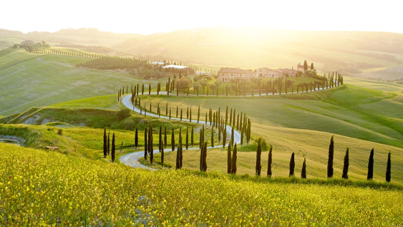 Sunny Fields, Toscane
