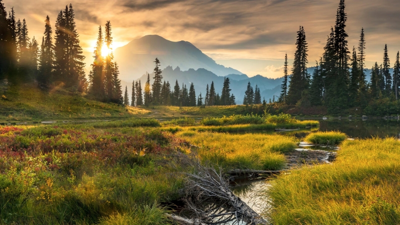 Mount Rainier Washington