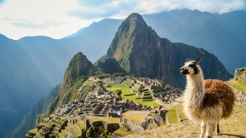 Machu Picchu