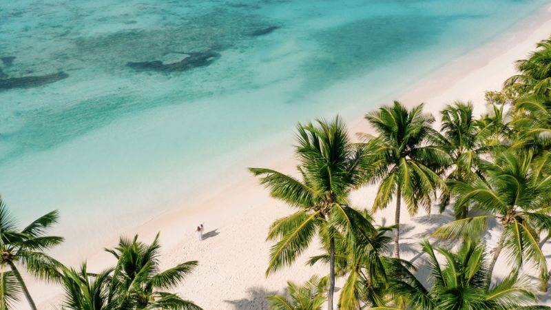 Birds eye view of beach with palm trees