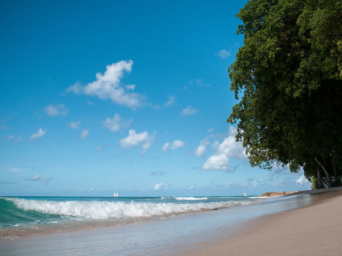 Waves Resort & Spa, An Autograph Collection All-Inclusive Resort, photo 5 of 10