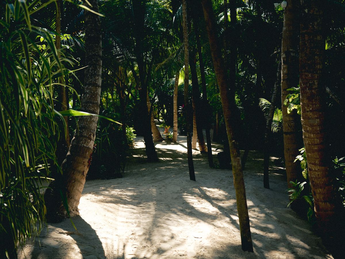 Nomade Tulum, photo 4 of 27