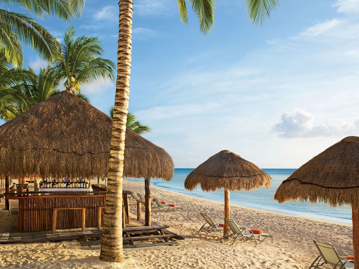 Dreams Cozumel Cape Resort & Spa, photo 3 of 9