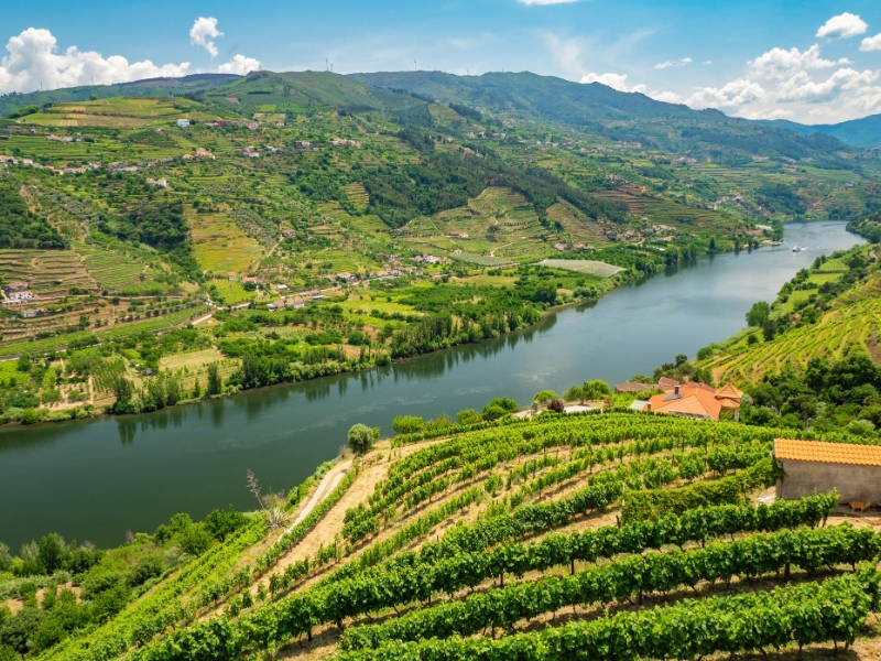 Douro Valley Portugal