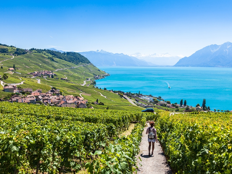 Lavaux