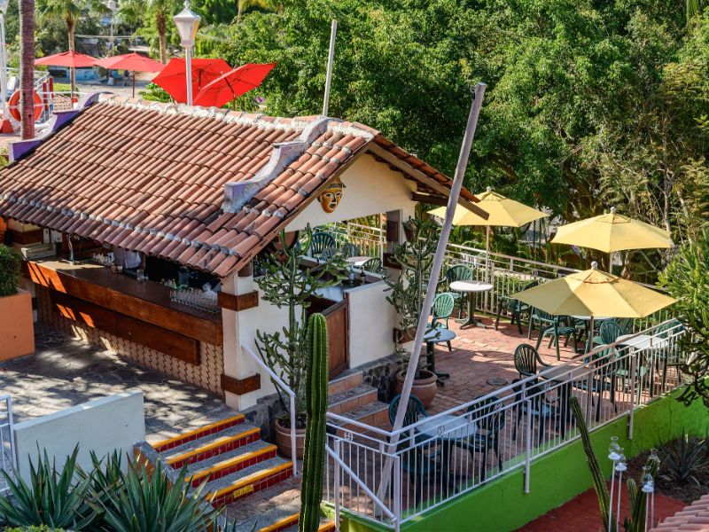 Bar Cactus