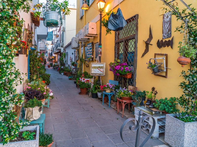 Colorful Streets