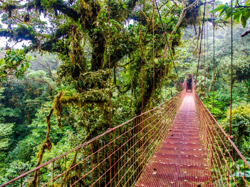 Monteverde Sky Walk Costa Rica