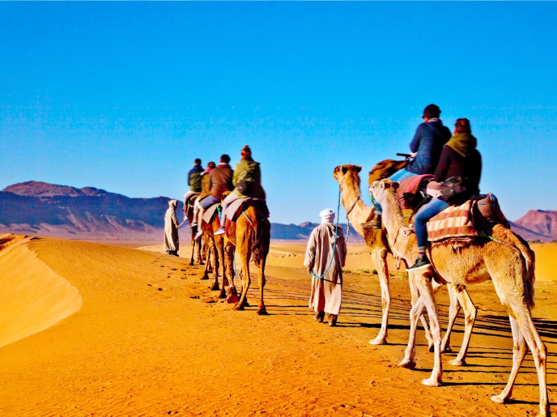 Camel Ride
