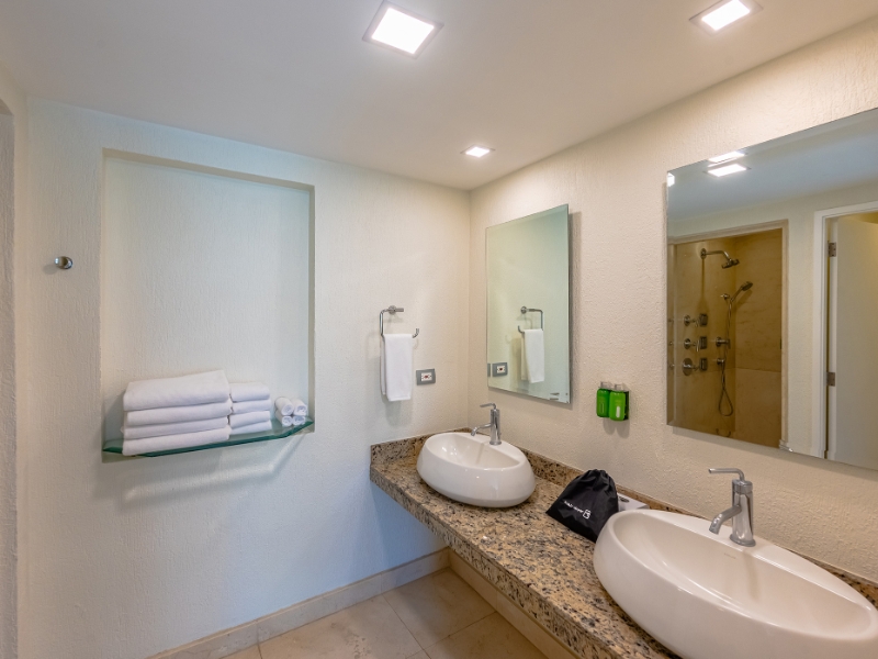 Suite bathroom 01