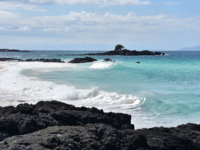 Baltra Island Galapagos
