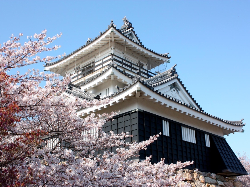 Hamamatsu
