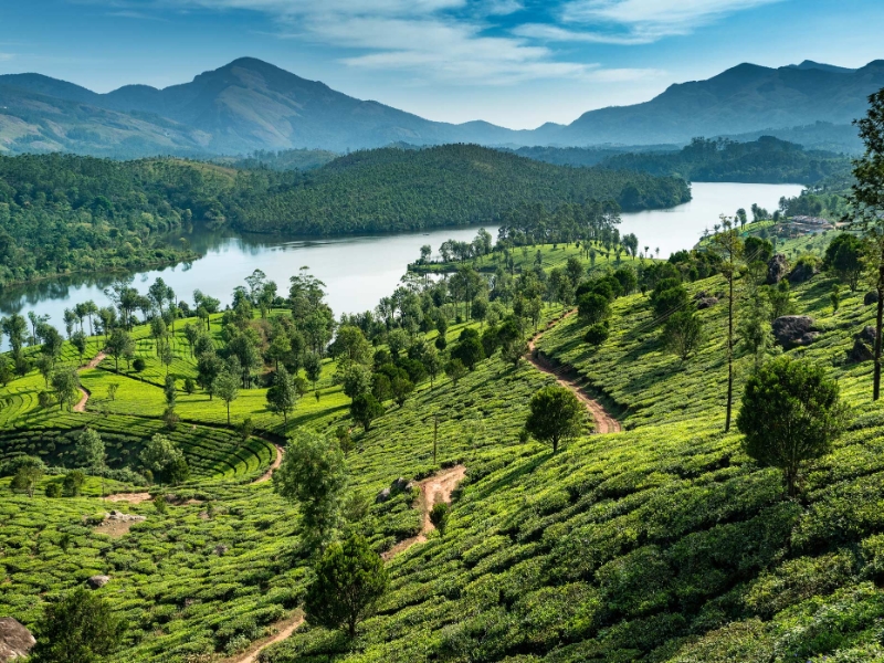 Munnar India