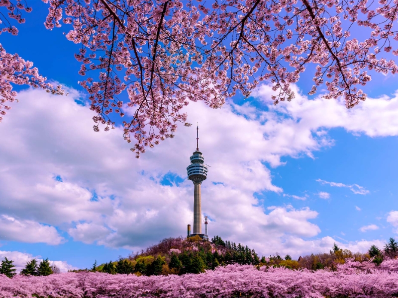Daegu