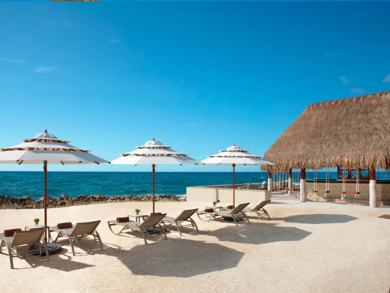 Barracuda Bar
