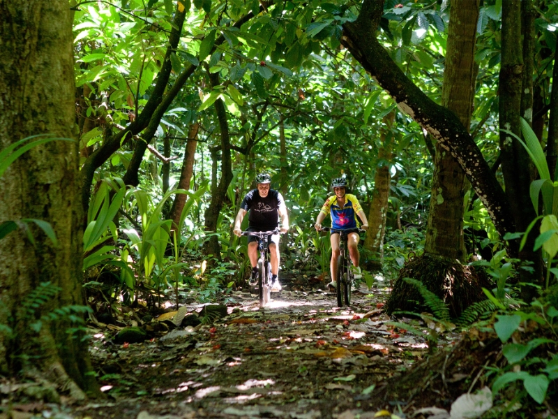 Jungle Biking