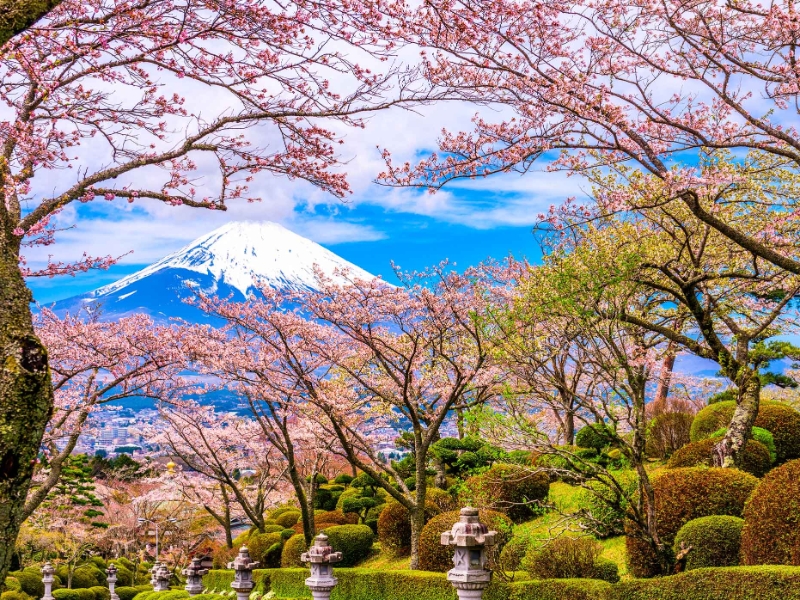 Gotemba Peace Park