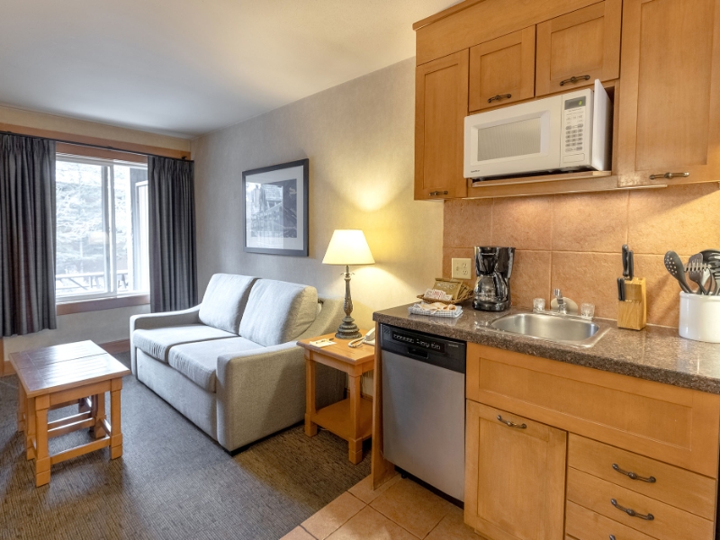 Deluxe One Bedroom Condo