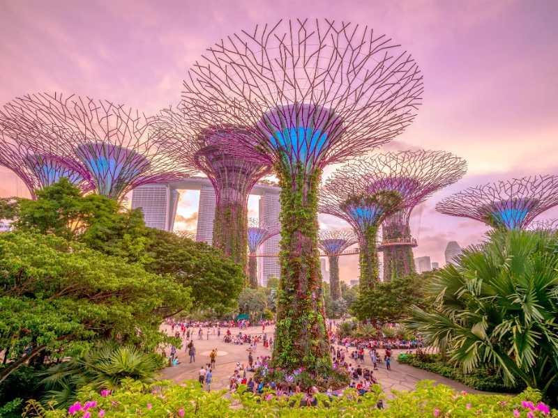 Gardens by the Bay