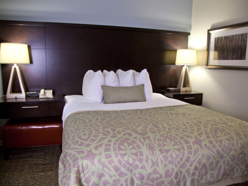 Suite Queen Bed