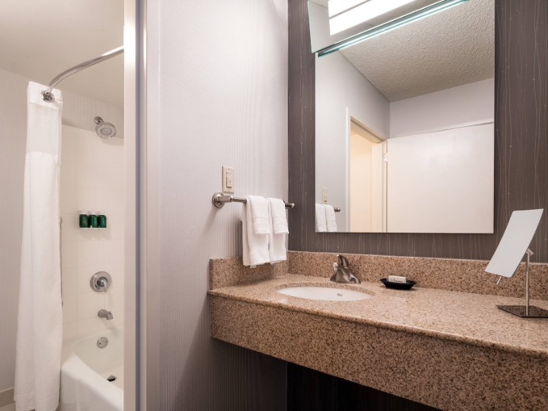 One Bedroom Suite Bathroom