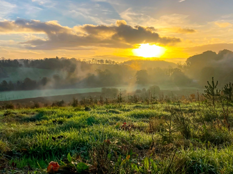 County Cavan