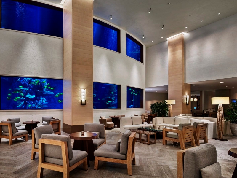 Bar and Oceanarium Seating