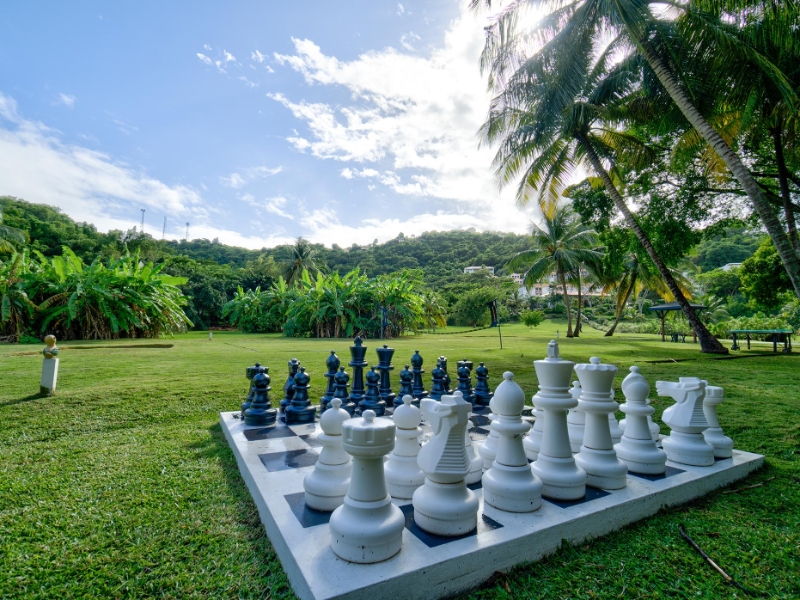 Chess Activity