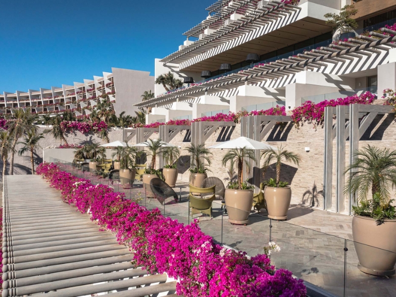 Estrella Terraza