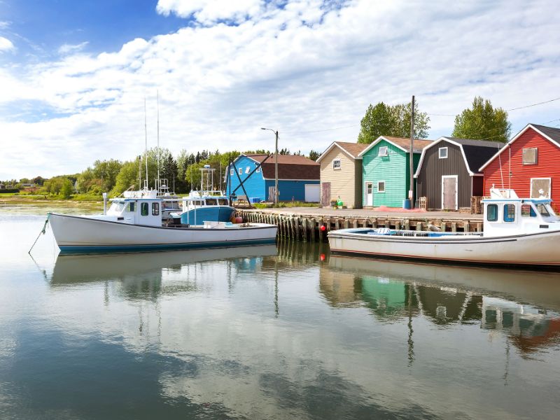 Harbour View