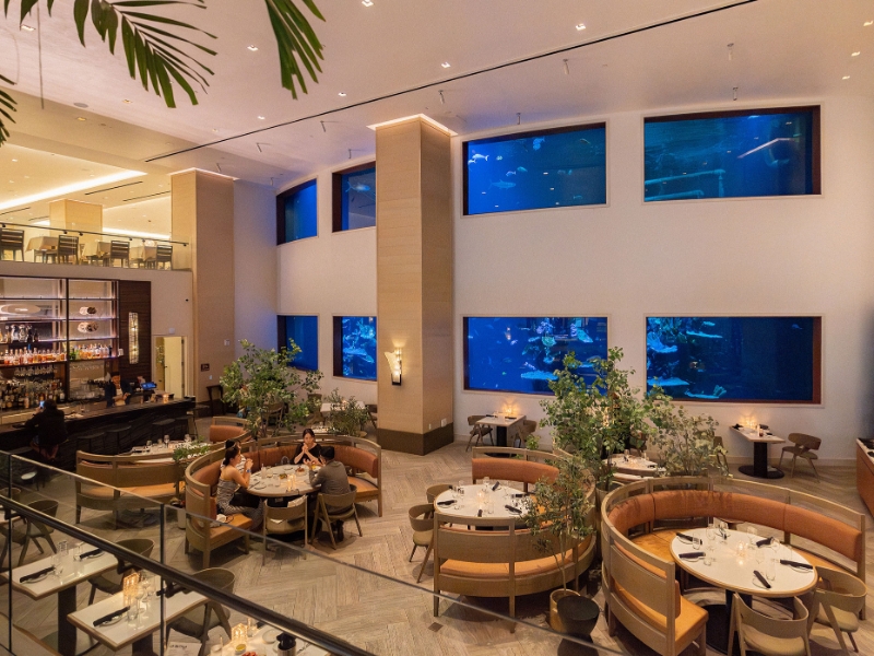 Bar and Oceanarium Seating