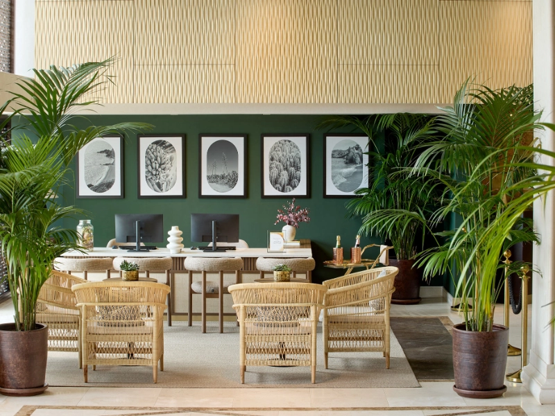 The Level Lounge