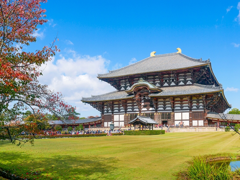 Todai ji Temple