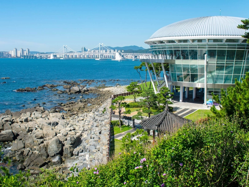 Nurimaru APEC House