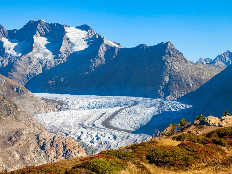 Aletsch