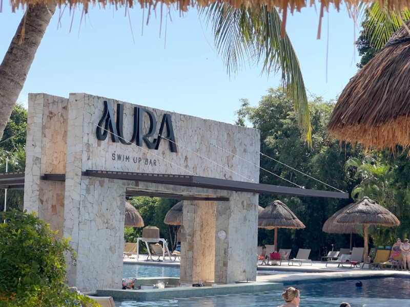 Aura Swim Up Bar